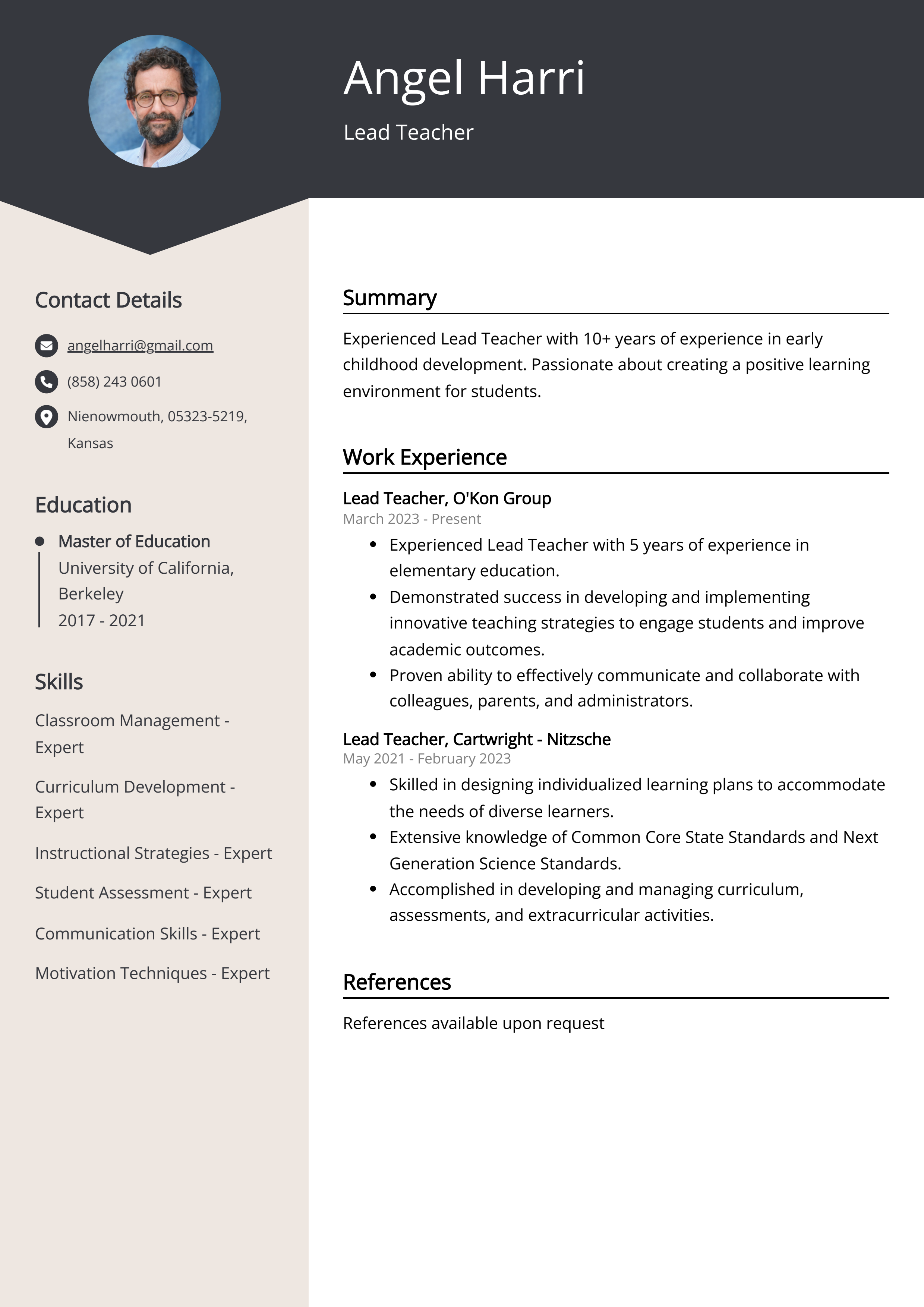 lead teacher job description