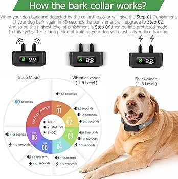 do bark collars work