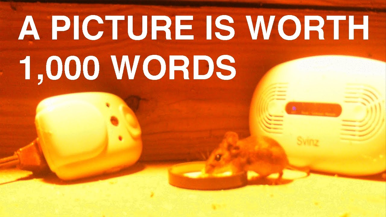 do ultrasonic mouse repellers work